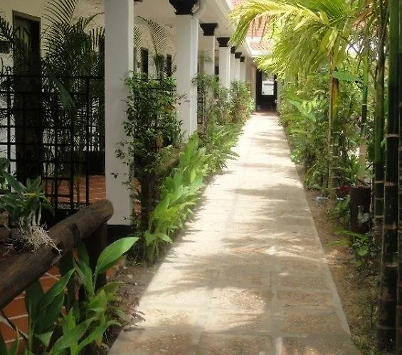 The Oasis Harbor